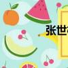 張世權（關于張世權介紹）