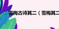 雪梅古詩其二(雪梅其二全文及譯文)