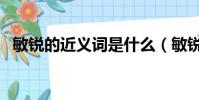 敏銳的近義詞是什么(敏銳的近義詞列述)