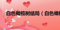 白色橄欖樹結局(白色橄欖樹結局好嗎)