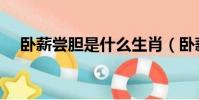 臥薪嘗膽是什么生肖(臥薪嘗膽是龍嗎)