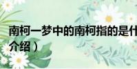 南柯一夢中的南柯指的是什么(南柯一夢意思介紹)