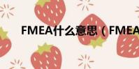 FMEA什么意思(FMEA的含義介紹)