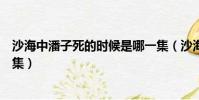 沙海中潘子死的時候是哪一集(沙海中潘子死的時候是第幾集)