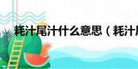 耗汁尾汁什么意思(耗汁尾汁是啥意思)