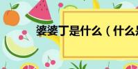 婆婆丁是什么(什么是婆婆丁)