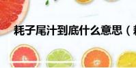 耗子尾汁到底什么意思(耗子尾汁解釋)