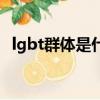 lgbt群體是什么意思啊（lgbt群體的解釋）