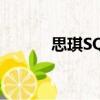 思琪SQ6（關于思琪SQ6介紹）