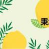 秉怎么讀（秉怎樣讀）
