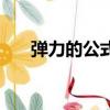 彈力的公式是什么（彈力的公式介紹）