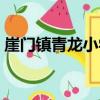 崖門鎮青龍小學（關于崖門鎮青龍小學簡介）