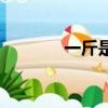 一斤是多少兩（一斤是幾兩）