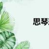 思琴珠（關于思琴珠介紹）