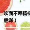 吹面不寒楊柳風意思（吹面不寒楊柳風原文及翻譯）