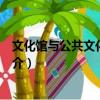 文化館與公共文化服務論（關于文化館與公共文化服務論簡介）