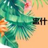 盅什么意思（盅簡單釋義）