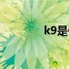 k9是什么意思（k9的解釋）