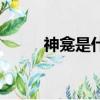 神龕是什么意思（神龕是啥意思）