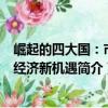 崛起的四大國：市場經濟新機遇（關于崛起的四大國：市場經濟新機遇簡介）
