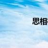 思相枝（關于思相枝介紹）