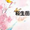 崧生岳降（關于崧生岳降簡介）
