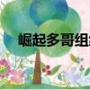 崛起多哥組織（關于崛起多哥組織簡介）