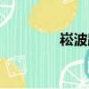 崧波路（關于崧波路簡介）