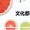 文化都匯（關于文化都匯簡介）