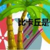 比卡丘是什么意思（比卡丘的介紹）