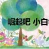 崛起吧 小白領（關于崛起吧 小白領簡介）