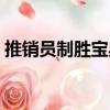 推銷員制勝寶典（關于推銷員制勝寶典簡介）