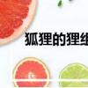 狐貍的貍組詞（狐貍的貍組詞有哪些）