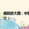 崛起的大國：中國大趨勢（關于崛起的大國：中國大趨勢簡介）
