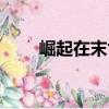崛起在末世（關于崛起在末世簡介）