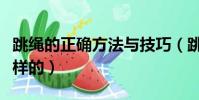 跳繩的正確方法與技巧(跳繩的基本要點是這樣的)