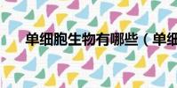 單細胞生物有哪些(單細胞生物列述)