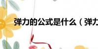 彈力的公式是什么(彈力的公式介紹)