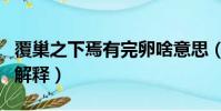覆巢之下焉有完卵啥意思(覆巢之下焉有完卵解釋)