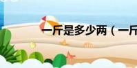 一斤是多少兩(一斤是幾兩)