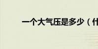 一個大氣壓是多少(什么是氣壓)