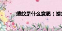 螻蟻是什么意思(螻蟻的含義)