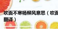 吹面不寒楊柳風意思(吹面不寒楊柳風原文及翻譯)