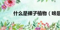 什么是裸子植物(啥是裸子植物)