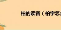 柏的讀音(柏字怎么讀音)