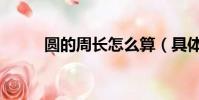 圓的周長怎么算(具體怎么計算)