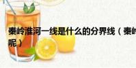 秦嶺淮河一線是什么的分界線(秦嶺淮河一線分界線是什么呢)