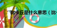 比卡丘是什么意思(比卡丘的介紹)