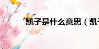 凱子是什么意思(凱子的含義)