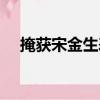 掩獲宋金生表（關于掩獲宋金生表簡介）